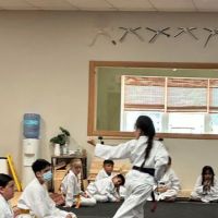Hamilton United Martial Arts Academy ico