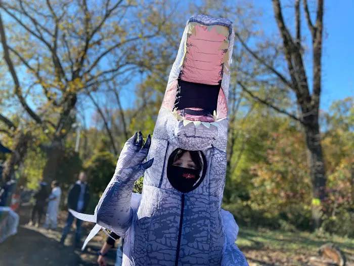 Amerikick Princeton Picture 4