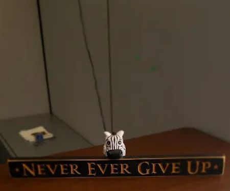 Bad Wolf Martial Arts