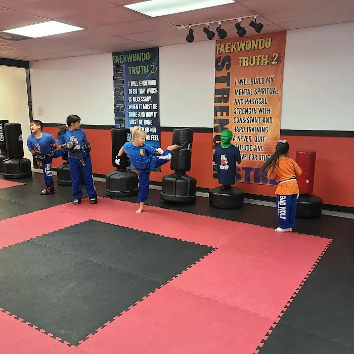 Bad Wolf Martial Arts Picture 5