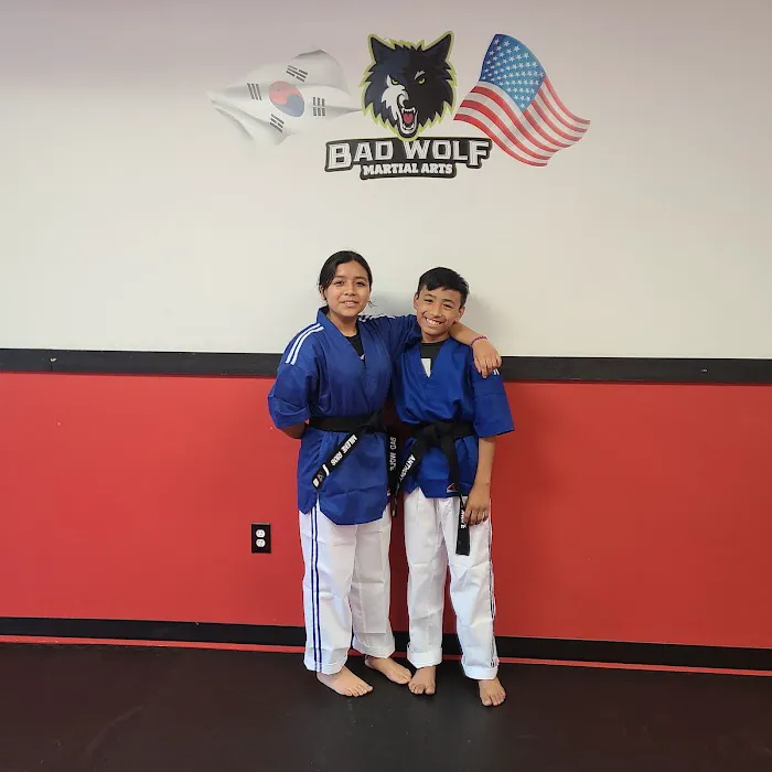 Bad Wolf Martial Arts Picture 4