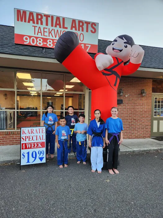 Bad Wolf Martial Arts Picture 6