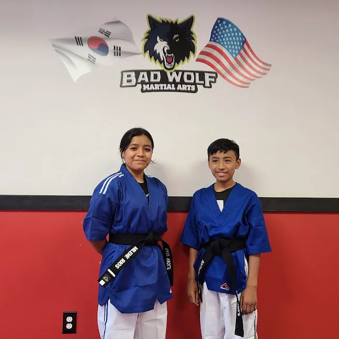 Bad Wolf Martial Arts Picture 9