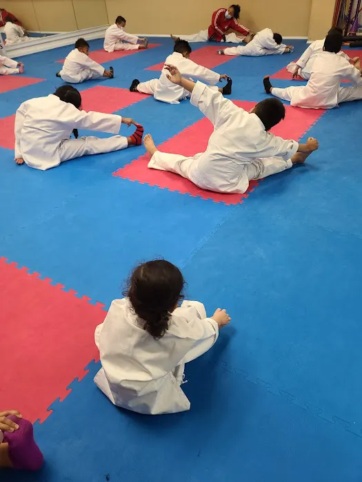 CAPITAL CITY TAEKWONDO Picture 1