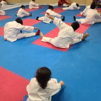 CAPITAL CITY TAEKWONDO ico