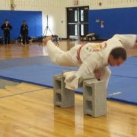 Victory Taekwondo ico