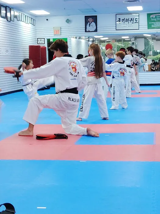 Victory Taekwondo Picture 3