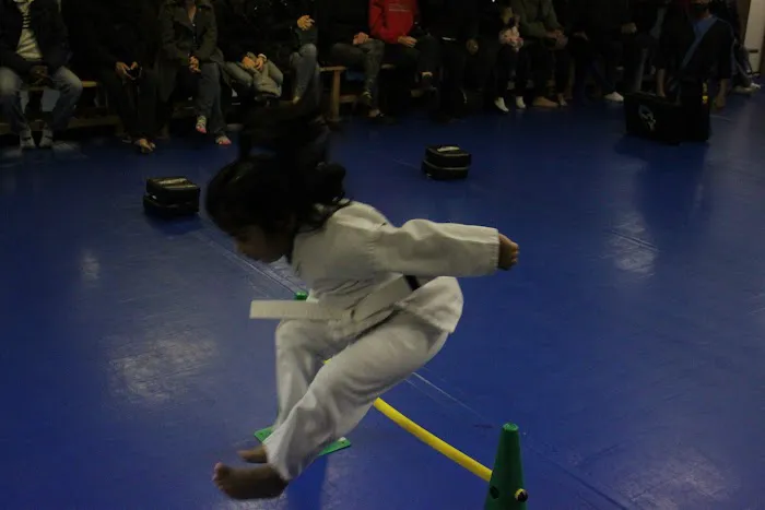 Championship Martial Arts Plainsboro Picture 1