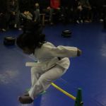 Championship Martial Arts Plainsboro