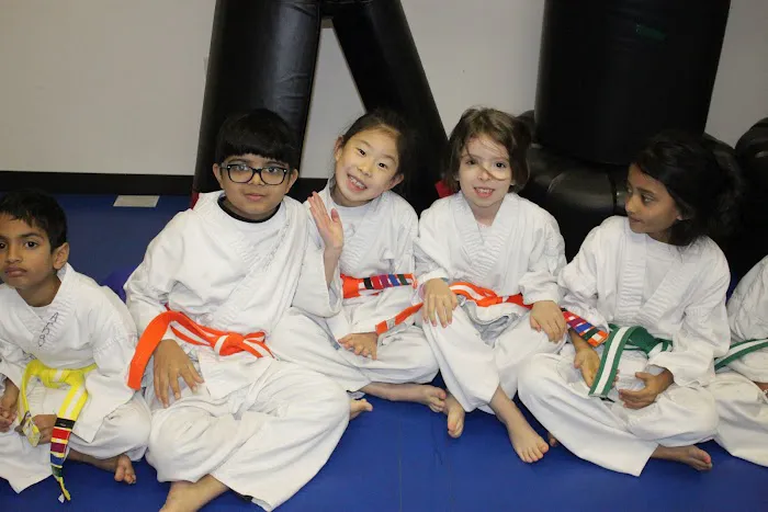 Championship Martial Arts Plainsboro Picture 4