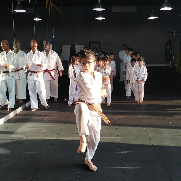 Bushido Karate Budokan, Plainsboro Picture 2
