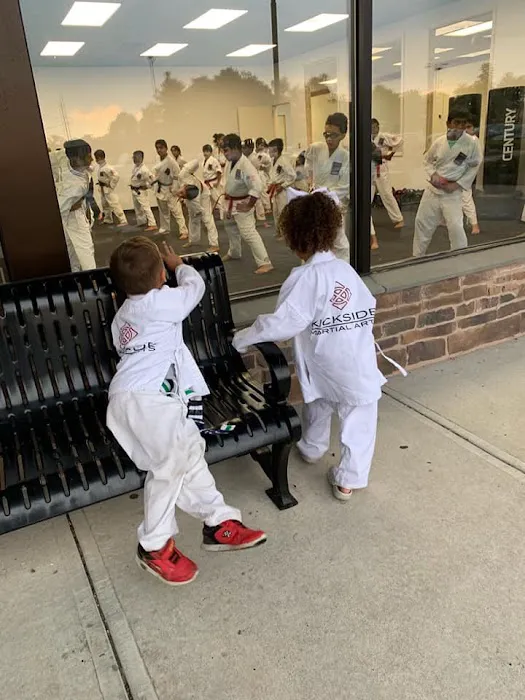 Kickside Martial Arts Picture 3