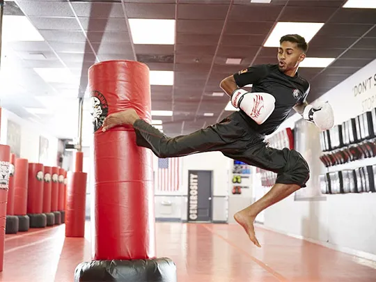 Tiger Schulmann's Martial Arts (Lawrence Township, NJ) Picture 3