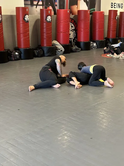 Tiger Schulmann's Martial Arts (Lawrence Township, NJ) Picture 5