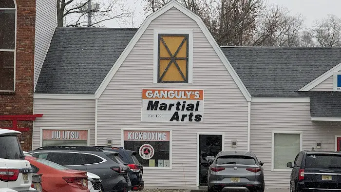 Ganguly's Mixed Martial Arts Picture 5