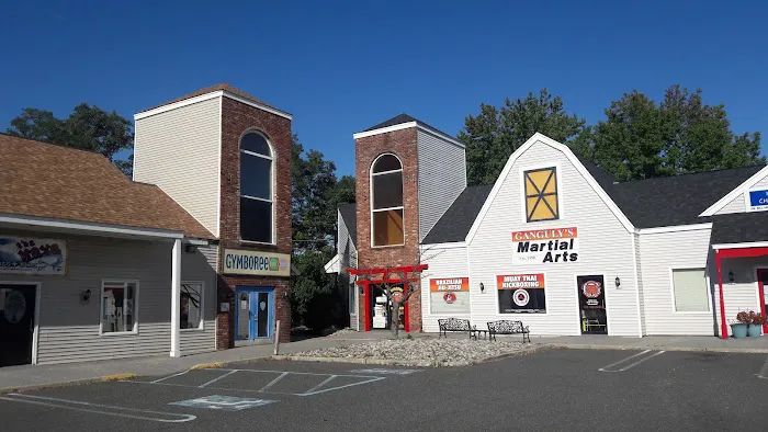 Ganguly's Mixed Martial Arts Picture 6