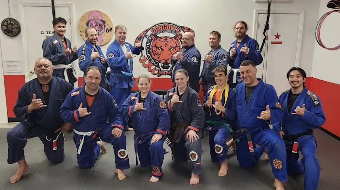 Ganguly's Mixed Martial Arts Picture 10