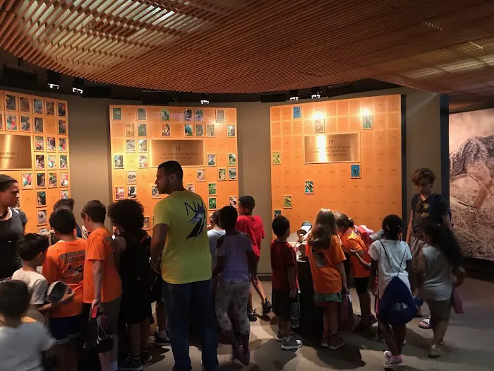 United BlackBelt Martial Arts Picture 3