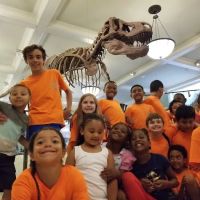 United BlackBelt Martial Arts ico