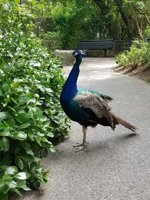 United BlackBelt Martial Arts Picture 6