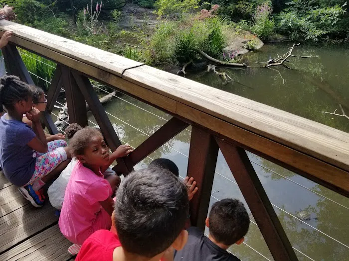 United BlackBelt Martial Arts Picture 8