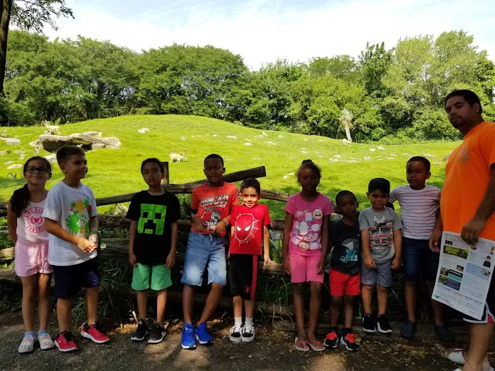 United BlackBelt Martial Arts Picture 9