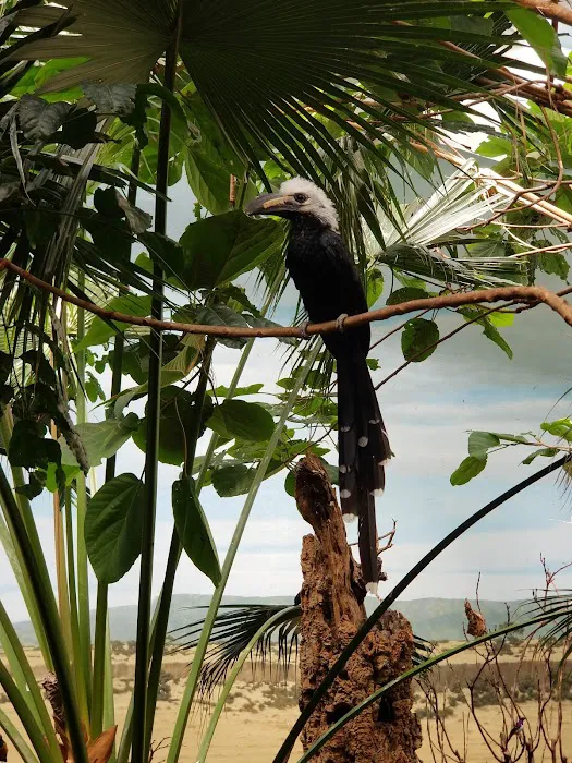 United BlackBelt Martial Arts Picture 10