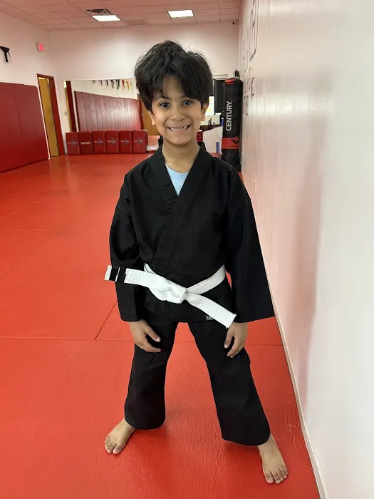 Balanced Martial Arts Picture 2