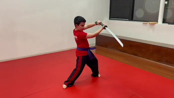 Balanced Martial Arts Picture 1