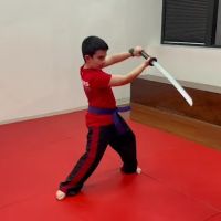 Balanced Martial Arts ico