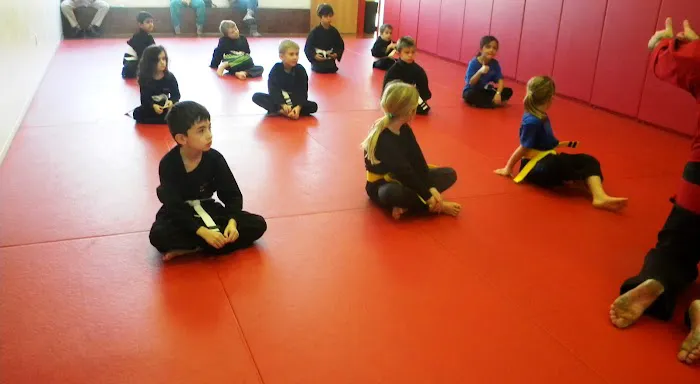 Balanced Martial Arts Picture 5