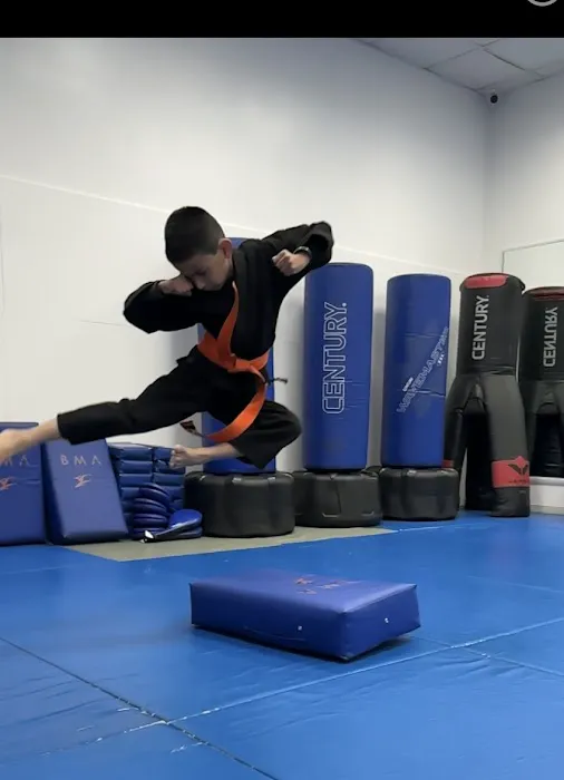 Balanced Martial Arts Picture 9