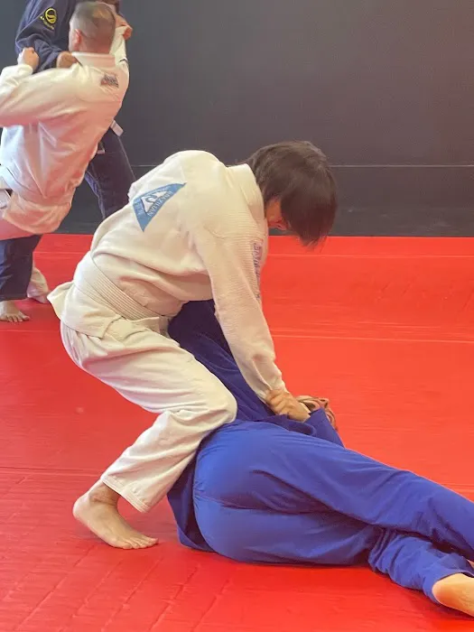 Integrated Martial Athletics Picture 5