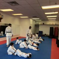 Baxter Karate Dojo ico