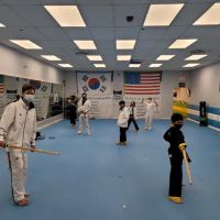 World Champion Tae Kwon Do ico