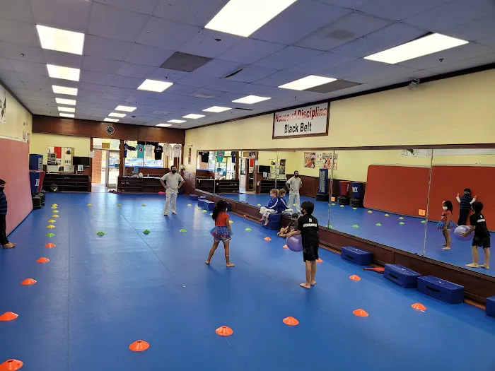 World Champion Tae Kwon Do Picture 5