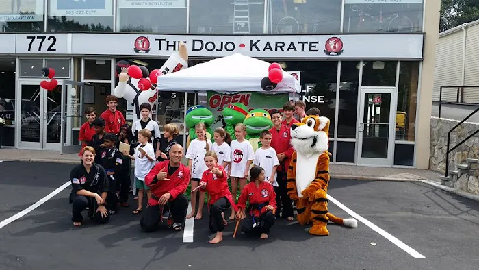 The Dojo Westports Karate School Picture 7