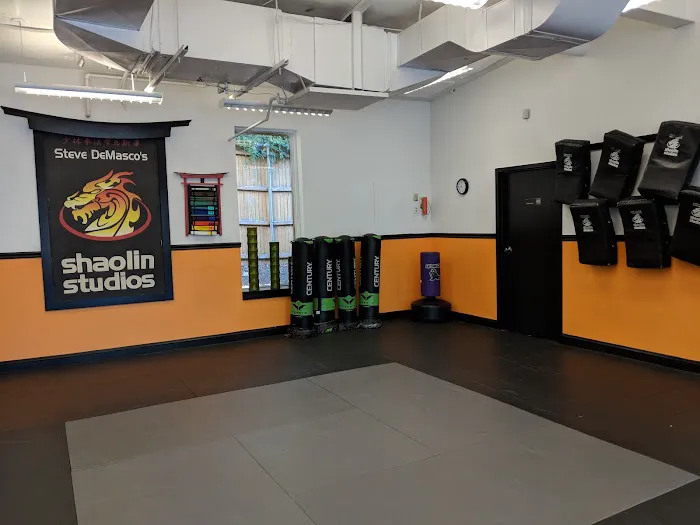 SDSS Martial Arts of Westport Picture 6