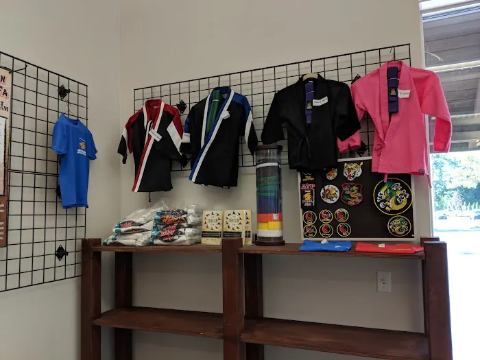 SDSS Martial Arts of Westport Picture 3