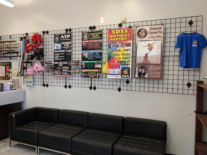 SDSS Martial Arts of Westport Picture 7