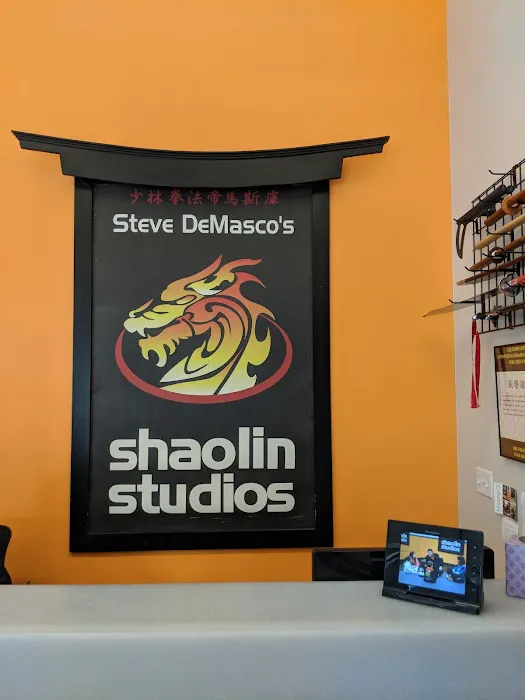 SDSS Martial Arts of Westport Picture 9