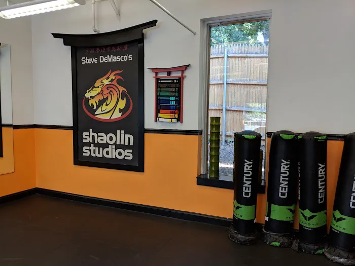 SDSS Martial Arts of Westport Picture 8