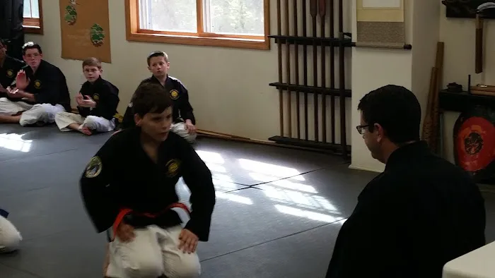 Mountain Stream Budo Picture 1