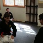 Mountain Stream Budo