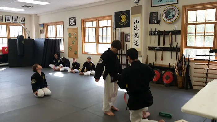 Mountain Stream Budo Picture 3