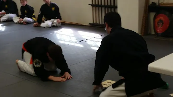 Mountain Stream Budo Picture 8