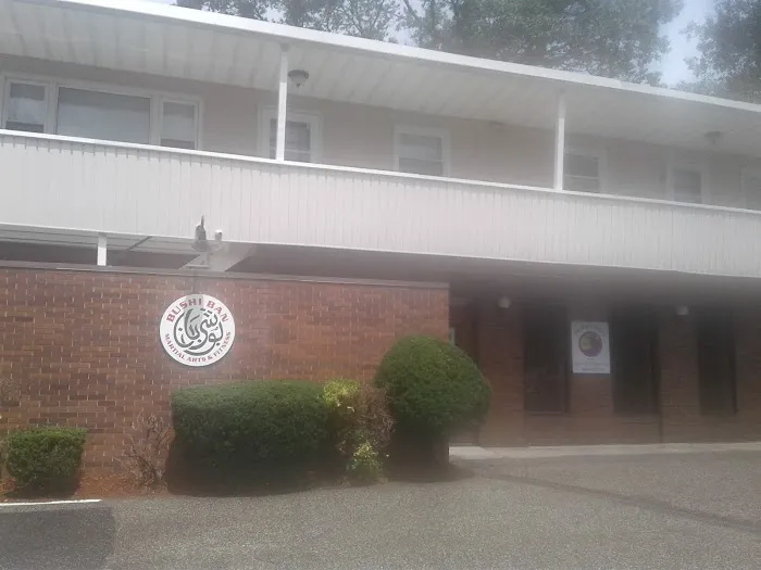 Bushi Ban Martial Arts and Fitness Picture 1