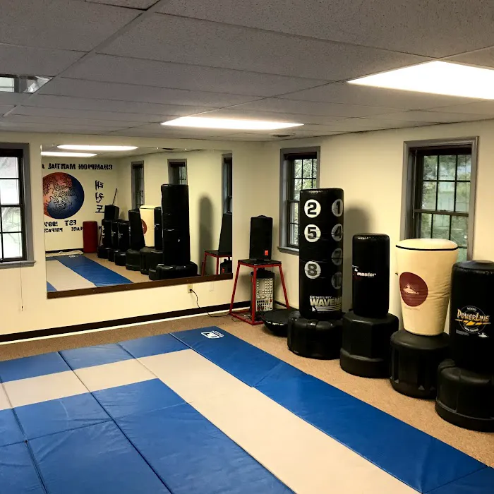 Champion Martial Arts Center Picture 3