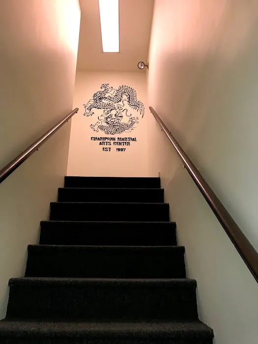 Champion Martial Arts Center Picture 2