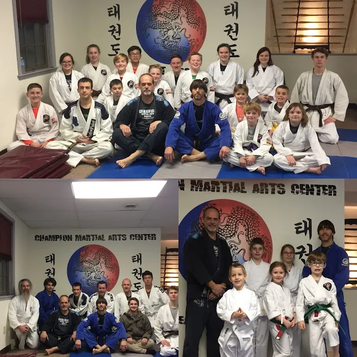Champion Martial Arts Center Picture 6
